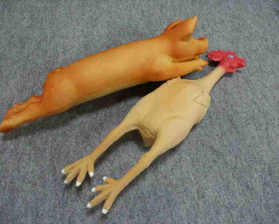 ラバーチキン