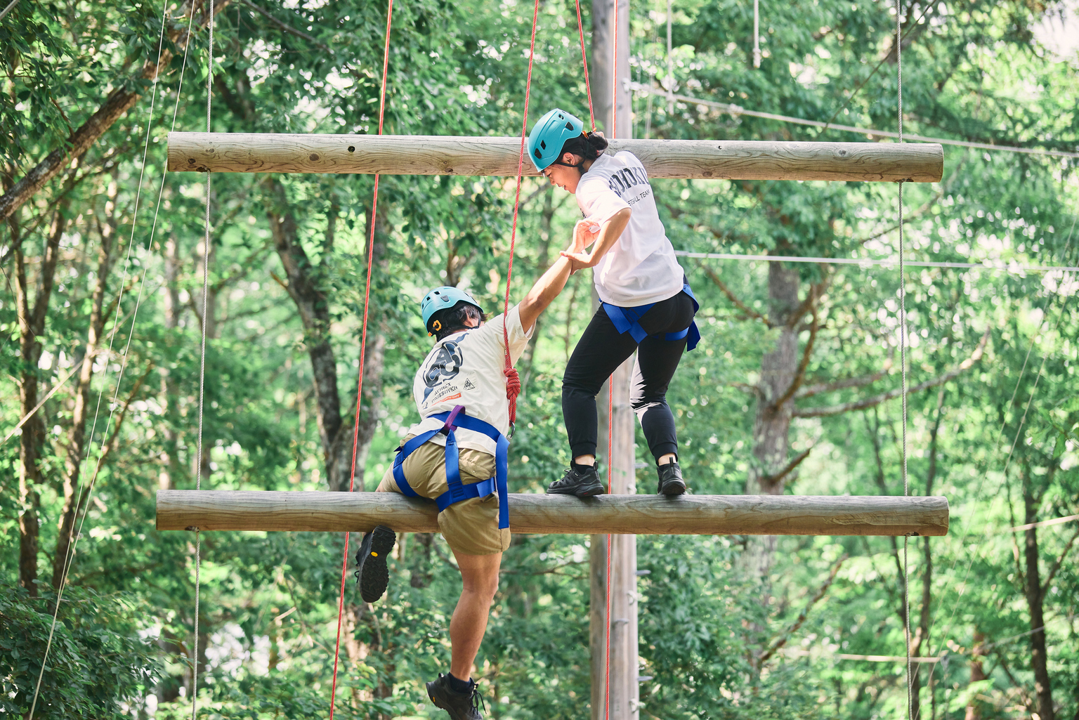 2026年主催講習会の日程が決定しました